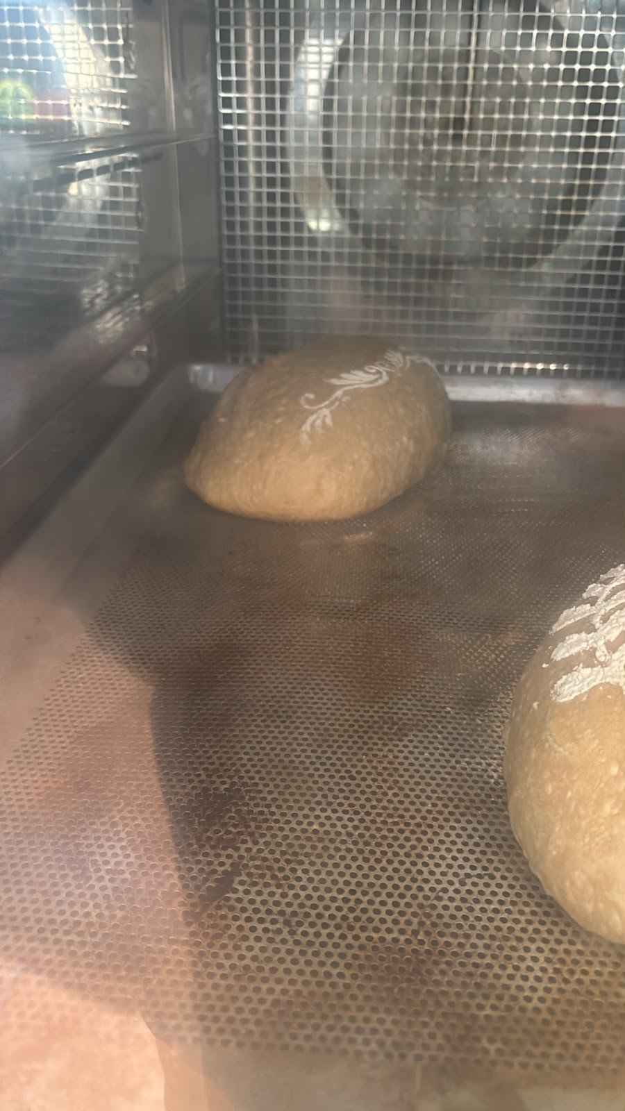 Panes leudando dentro de un horno de panadería con vapor visible